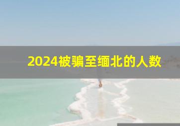 2024被骗至缅北的人数