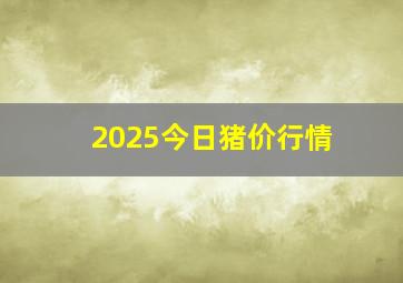 2025今日猪价行情