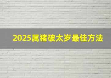 2025属猪破太岁最佳方法