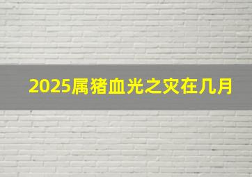 2025属猪血光之灾在几月