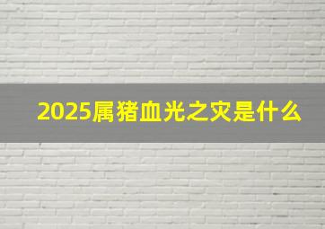 2025属猪血光之灾是什么