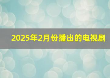 2025年2月份播出的电视剧