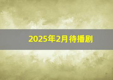 2025年2月待播剧