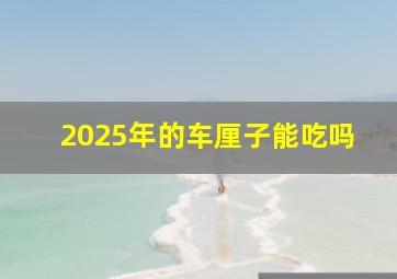 2025年的车厘子能吃吗