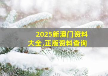 2025新澳门资料大全,正版资料查询