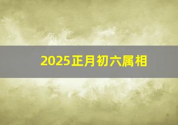 2025正月初六属相