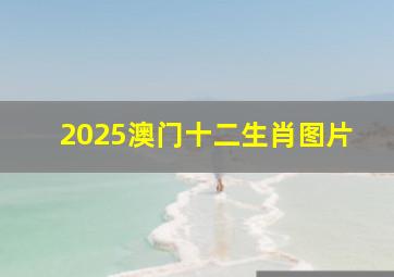 2025澳门十二生肖图片