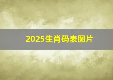 2025生肖码表图片