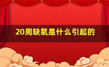 20周缺氧是什么引起的