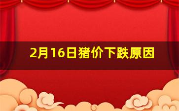 2月16日猪价下跌原因