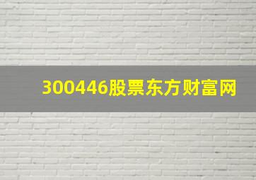 300446股票东方财富网