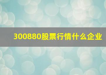 300880股票行情什么企业