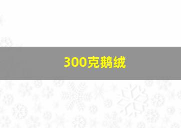 300克鹅绒