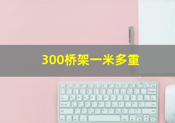 300桥架一米多重