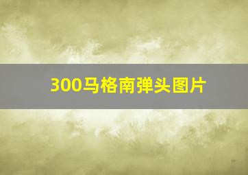 300马格南弹头图片