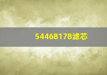 54468178滤芯