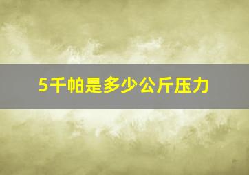 5千帕是多少公斤压力