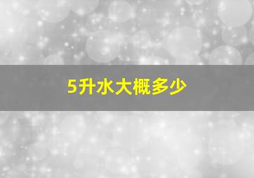 5升水大概多少