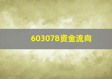 603078资金流向