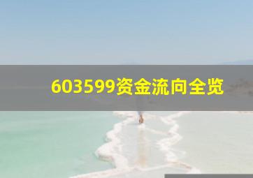 603599资金流向全览