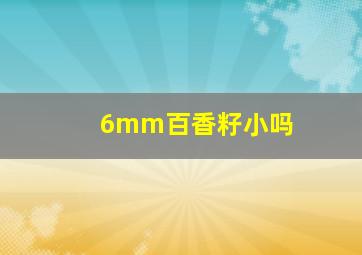 6mm百香籽小吗