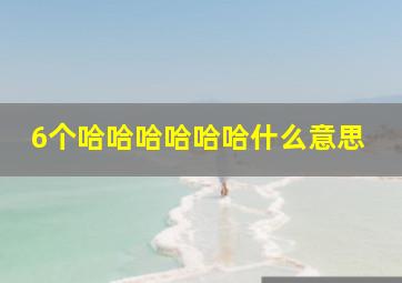 6个哈哈哈哈哈哈什么意思