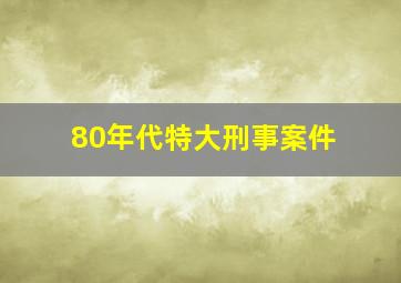 80年代特大刑事案件