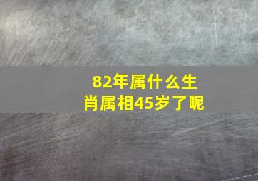 82年属什么生肖属相45岁了呢