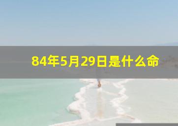 84年5月29日是什么命