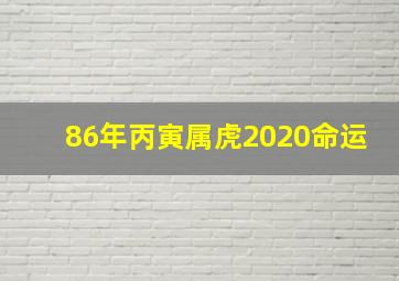 86年丙寅属虎2020命运