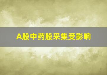 A股中药股采集受影响