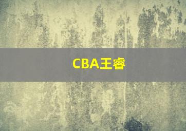 CBA王睿