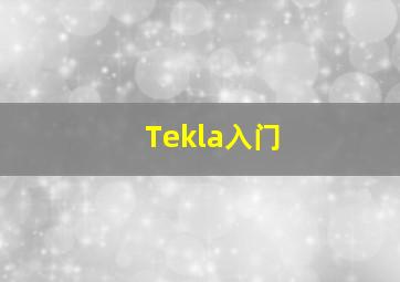 Tekla入门