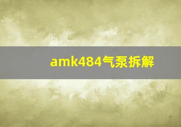 amk484气泵拆解