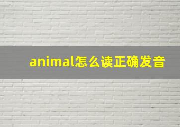 animal怎么读正确发音