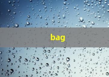 bag