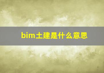 bim土建是什么意思