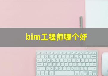 bim工程师哪个好