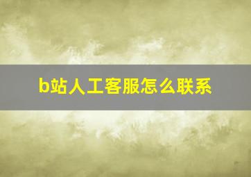 b站人工客服怎么联系