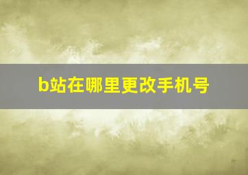 b站在哪里更改手机号