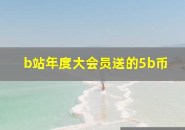 b站年度大会员送的5b币