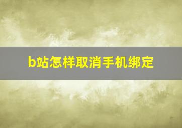 b站怎样取消手机绑定