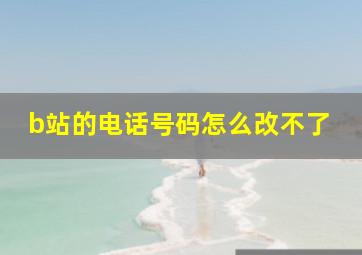 b站的电话号码怎么改不了