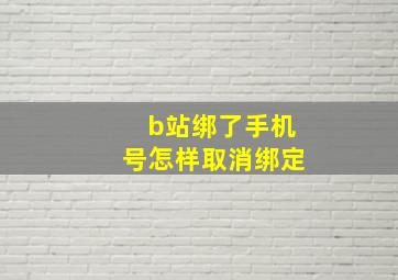 b站绑了手机号怎样取消绑定