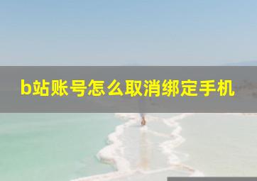 b站账号怎么取消绑定手机