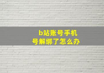 b站账号手机号解绑了怎么办