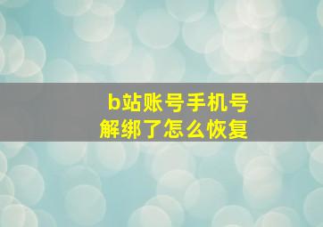 b站账号手机号解绑了怎么恢复