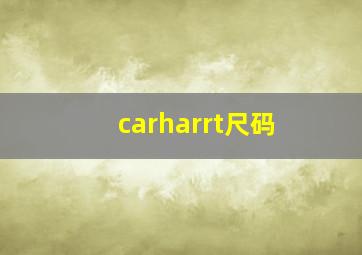 carharrt尺码