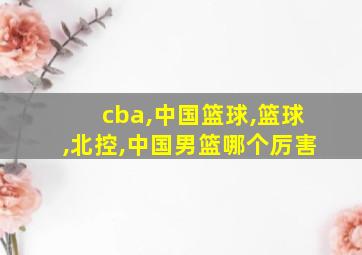 cba,中国篮球,篮球,北控,中国男篮哪个厉害