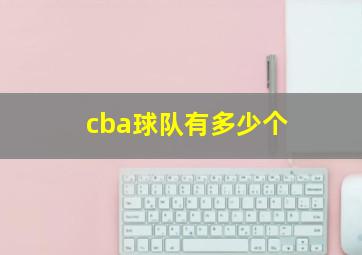 cba球队有多少个